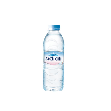 Eau minéral naturelle Sidi Ali 12x33cl