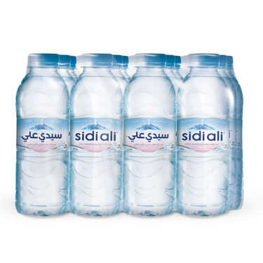 Eau minéral naturelle Sidi Ali 12x33cl