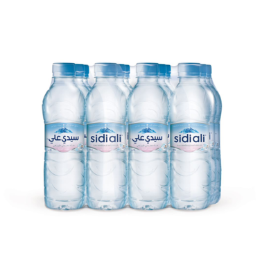 Sidi Ali natural mineral water 12x50cl