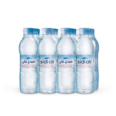 Eau minéral naturelle Sidi Ali 12x50cl